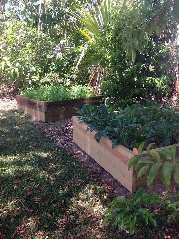 Eumundi Guesthouse And B&B Austrálie